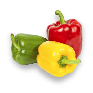 Capsicum