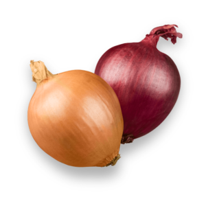 Onion